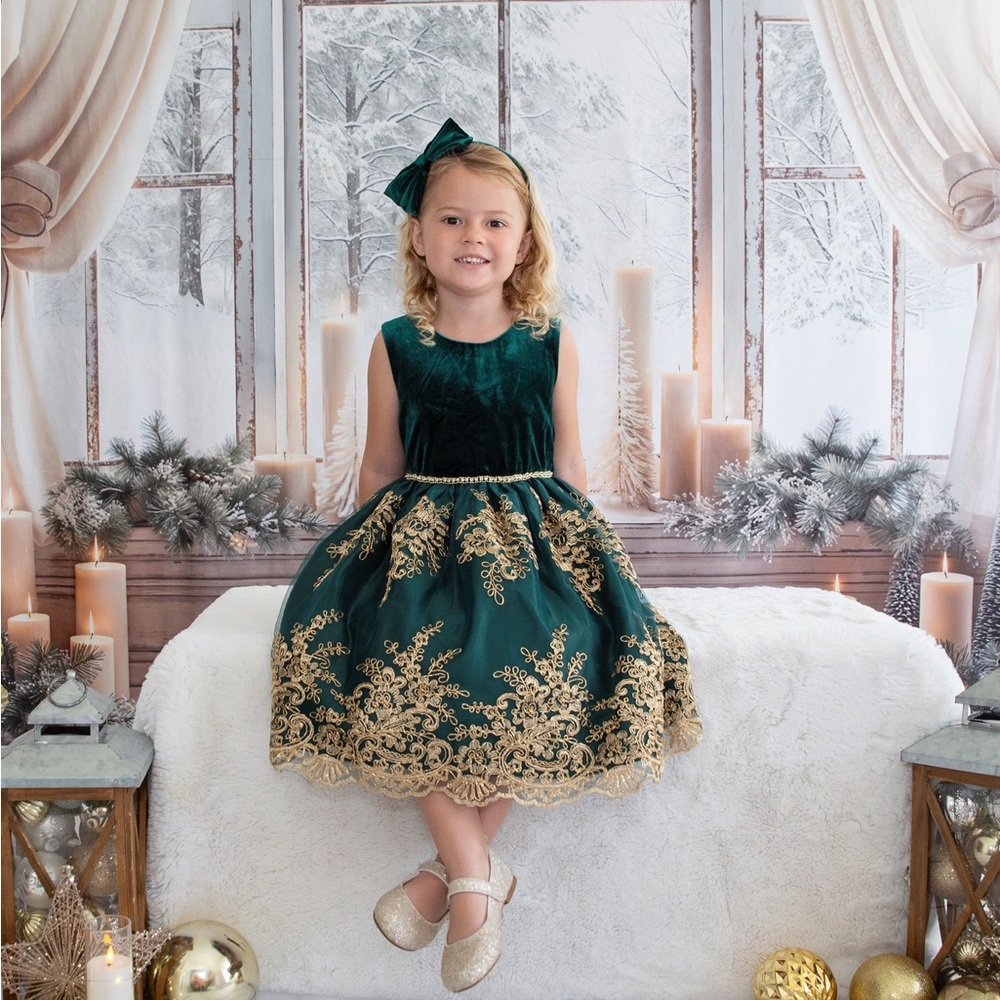 Biscotti Rich Green Velvet Dress
